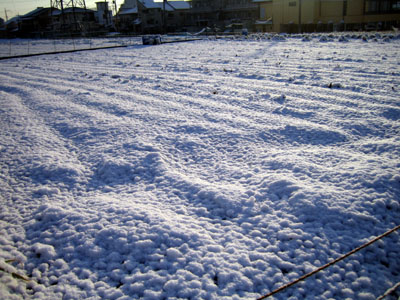 05012402.jpg